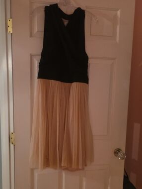 HD in Paris Black and Beige Pleated Skirt Dress